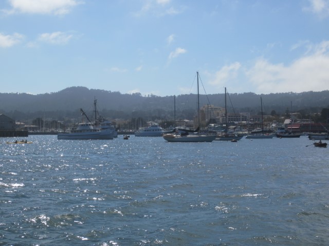 IMG_3338.JPG